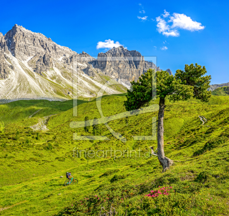 frei w&auml;hlbarer Bildausschnitt f&uuml;r Ihr Bild auf Kissen