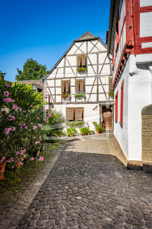 frei wählbarer Bildausschnitt für Ihr Bild auf Kissen