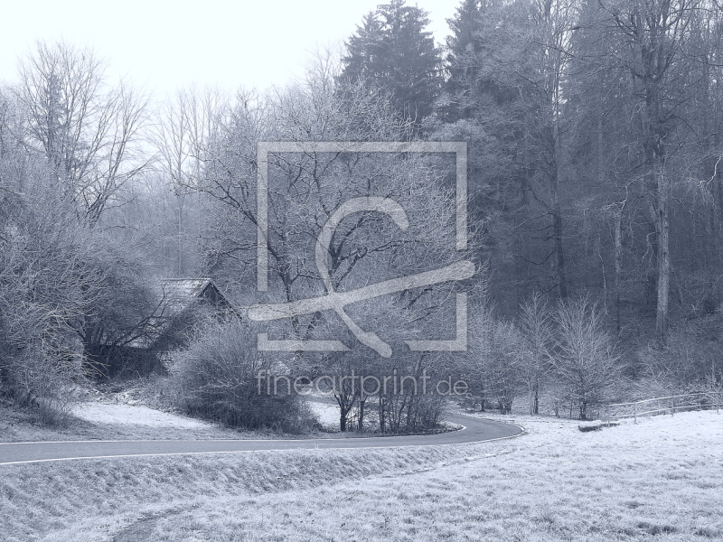 frei wählbarer Bildausschnitt für Ihr Bild auf Kissen