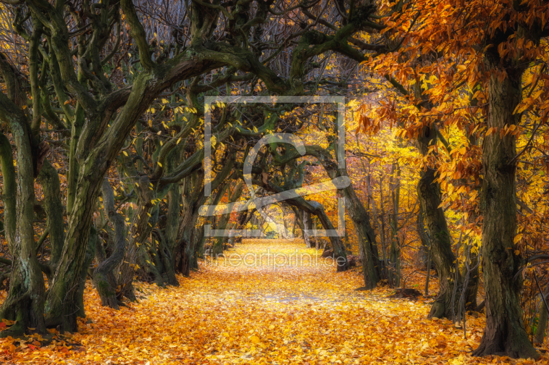 frei w&auml;hlbarer Bildausschnitt f&uuml;r Ihr Bild auf Kissen