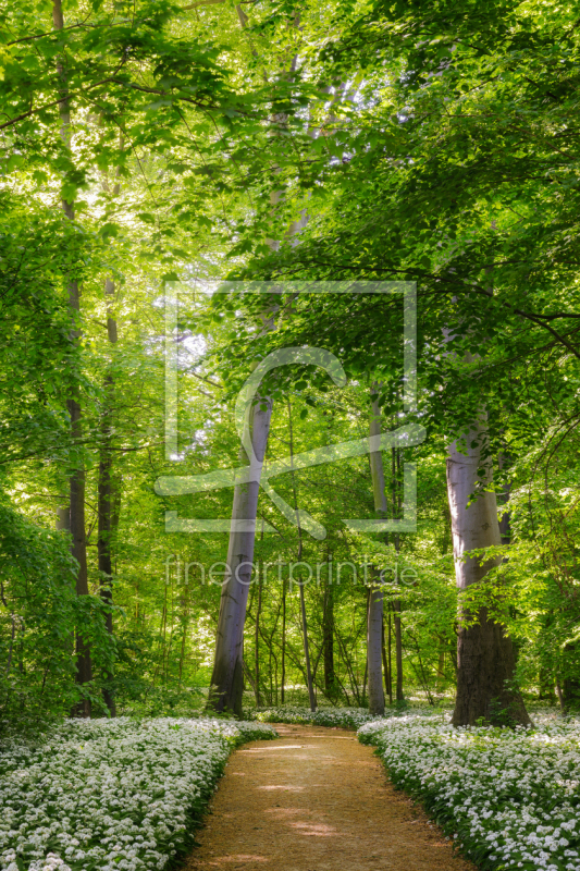 frei wählbarer Bildausschnitt für Ihr Bild auf Kissen