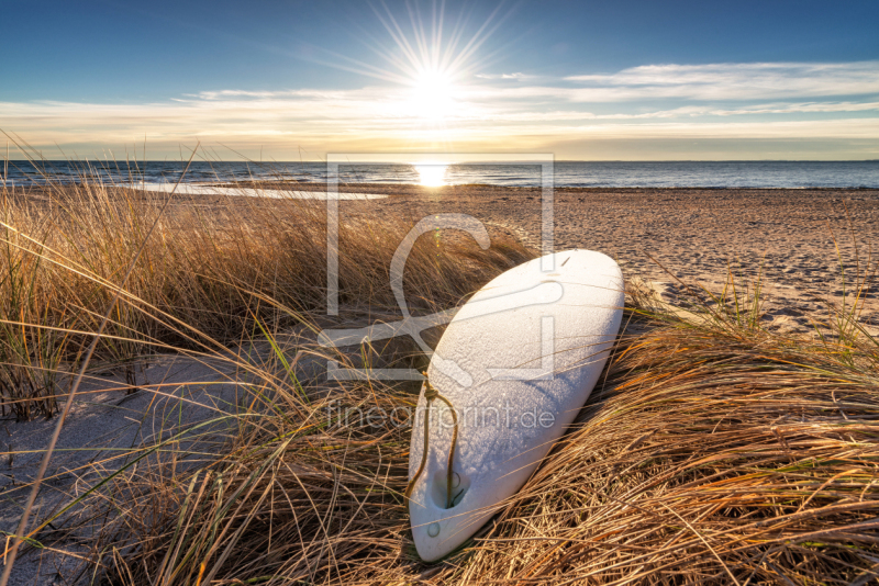 frei wählbarer Bildausschnitt für Ihr Bild auf Kissen