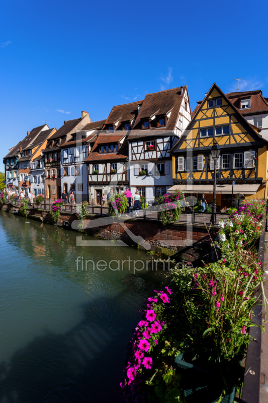 frei wählbarer Bildausschnitt für Ihr Bild auf Kissen