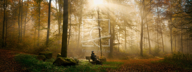 frei wählbarer Bildausschnitt für Ihr Bild auf Kissen