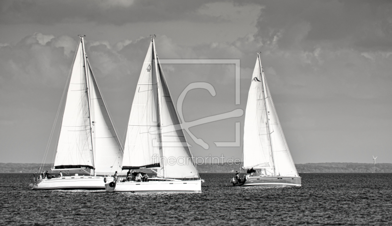 frei wählbarer Bildausschnitt für Ihr Bild auf Kissen