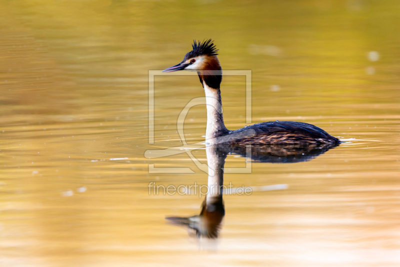 frei wählbarer Bildausschnitt für Ihr Bild auf Kissen