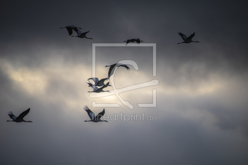 frei w&auml;hlbarer Bildausschnitt f&uuml;r Ihr Bild auf Kissen