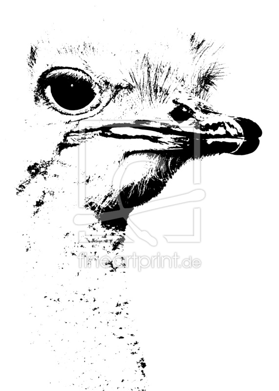 frei w&auml;hlbarer Bildausschnitt f&uuml;r Ihr Bild auf Kissen