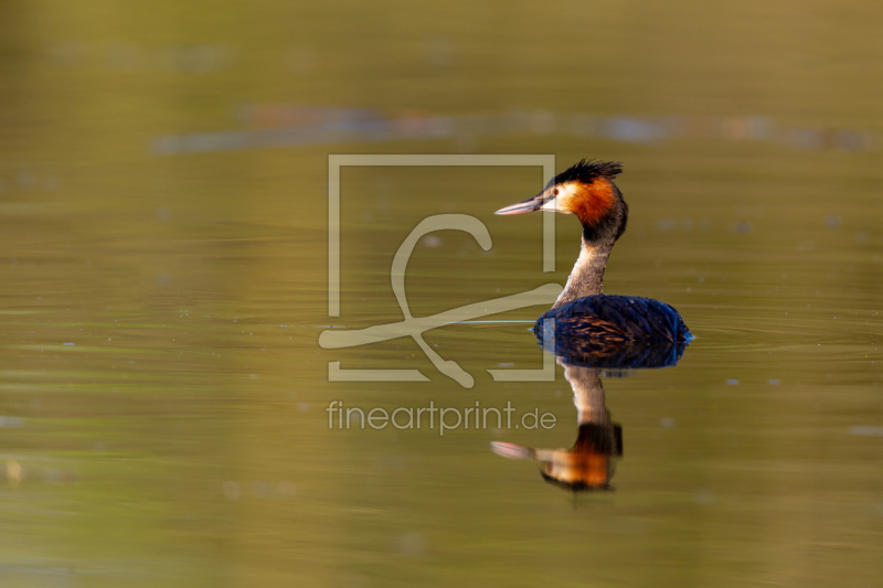 frei w&auml;hlbarer Bildausschnitt f&uuml;r Ihr Bild auf Kissen