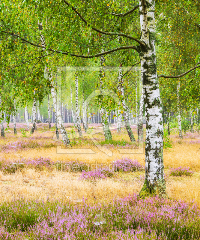 frei w&auml;hlbarer Bildausschnitt f&uuml;r Ihr Bild auf Kissen