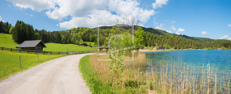 frei wählbarer Bildausschnitt für Ihr Bild auf Kissen