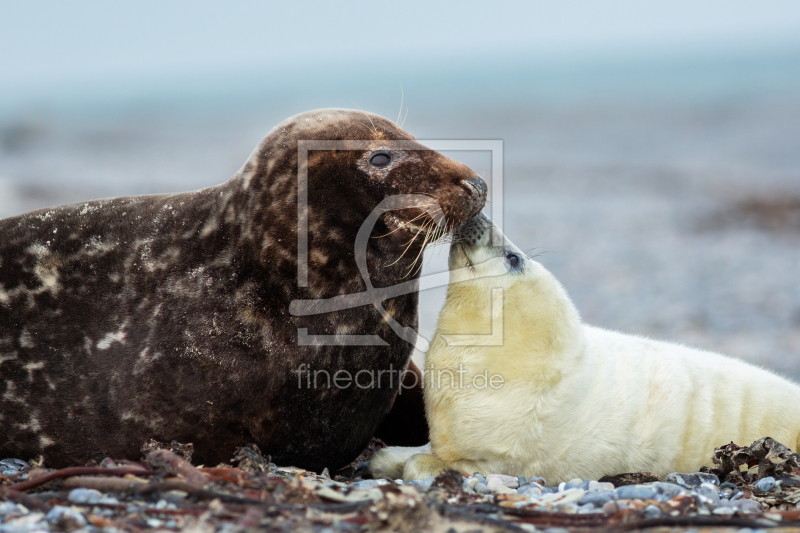 frei w&auml;hlbarer Bildausschnitt f&uuml;r Ihr Bild auf Kissen