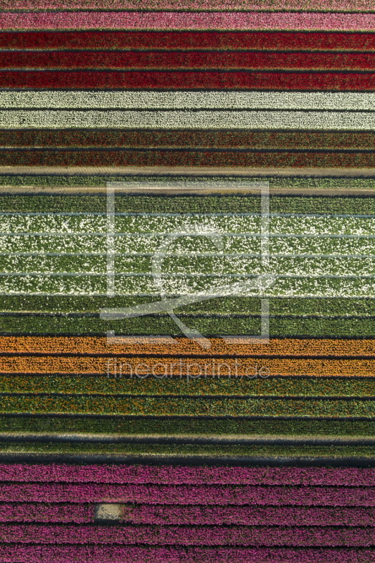 frei w&auml;hlbarer Bildausschnitt f&uuml;r Ihr Bild auf Kissen