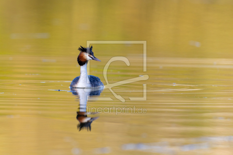frei w&auml;hlbarer Bildausschnitt f&uuml;r Ihr Bild auf Kissen