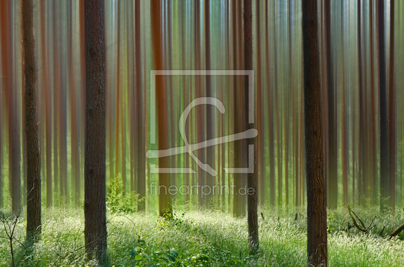 frei w&auml;hlbarer Bildausschnitt f&uuml;r Ihr Bild auf Kissen