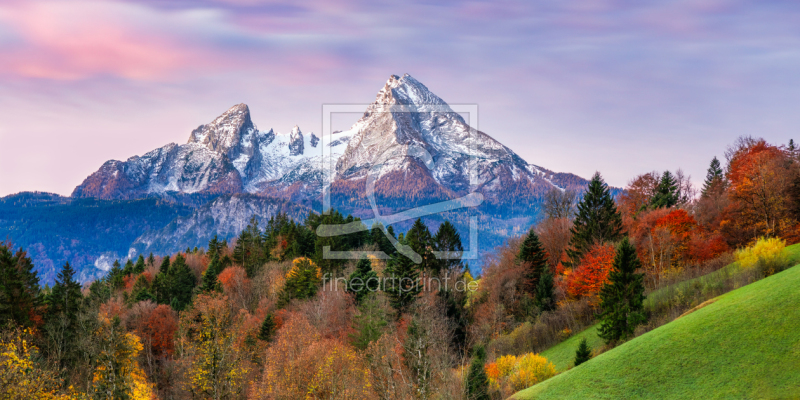 frei w&auml;hlbarer Bildausschnitt f&uuml;r Ihr Bild auf Kissen