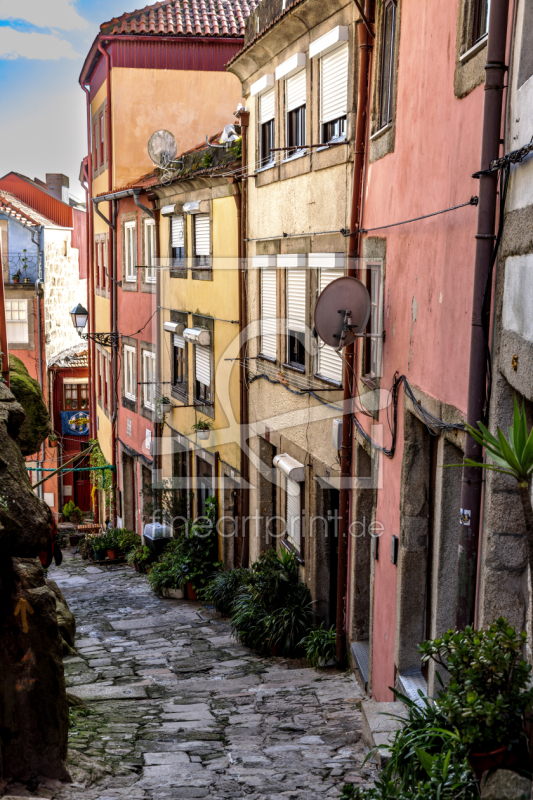 frei w&auml;hlbarer Bildausschnitt f&uuml;r Ihr Bild auf Kissen