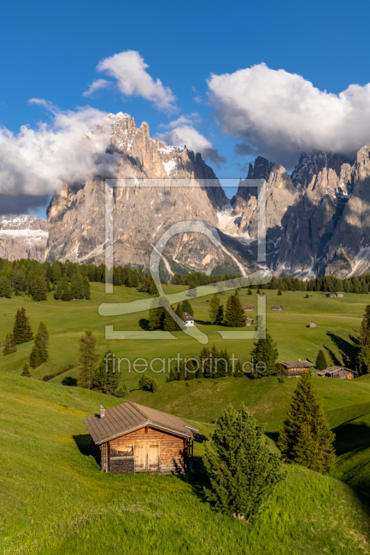 frei w&auml;hlbarer Bildausschnitt f&uuml;r Ihr Bild auf Kissen