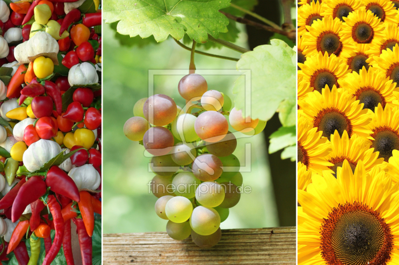 frei w&auml;hlbarer Bildausschnitt f&uuml;r Ihr Bild auf Kissen