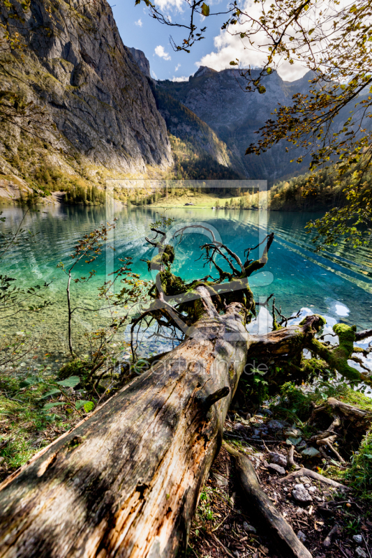 frei w&auml;hlbarer Bildausschnitt f&uuml;r Ihr Bild auf Kissen