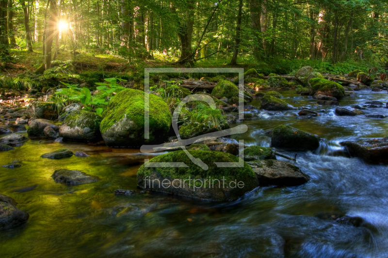 frei w&auml;hlbarer Bildausschnitt f&uuml;r Ihr Bild auf Kissen