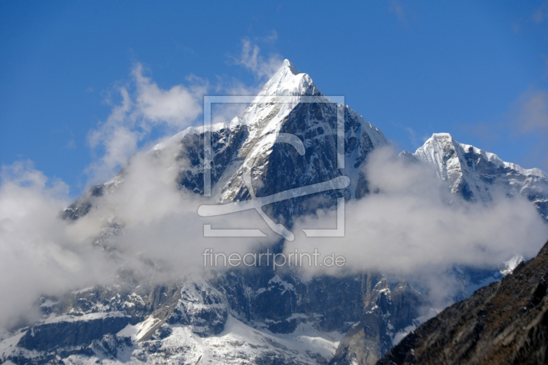 frei w&auml;hlbarer Bildausschnitt f&uuml;r Ihr Bild auf Kissen