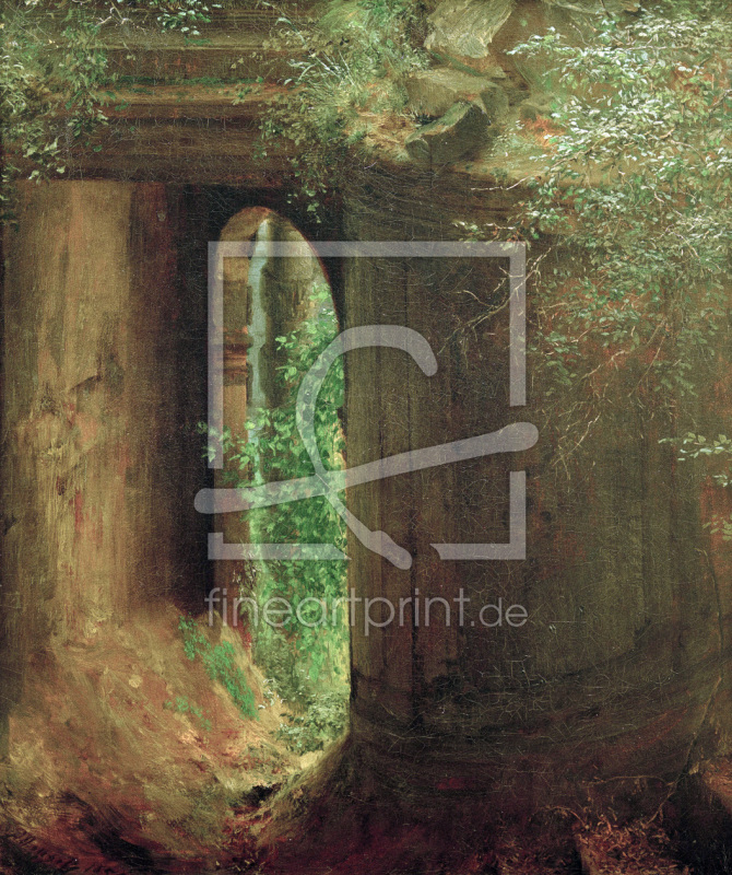 frei wählbarer Bildausschnitt für Ihr Bild auf Kissen