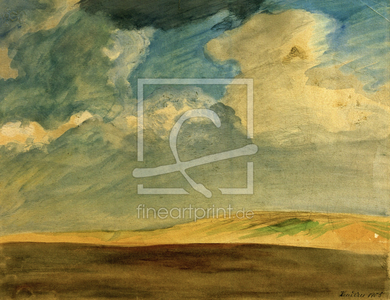 frei wählbarer Bildausschnitt für Ihr Bild auf Kissen