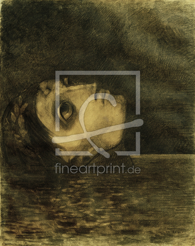 frei w&auml;hlbarer Bildausschnitt f&uuml;r Ihr Bild auf Kissen