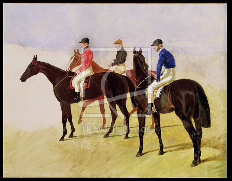 frei wählbarer Bildausschnitt für Ihr Bild auf Kissen