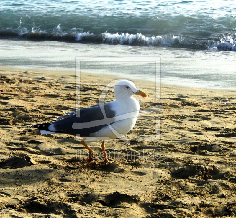 frei wählbarer Bildausschnitt für Ihr Bild auf Kissen