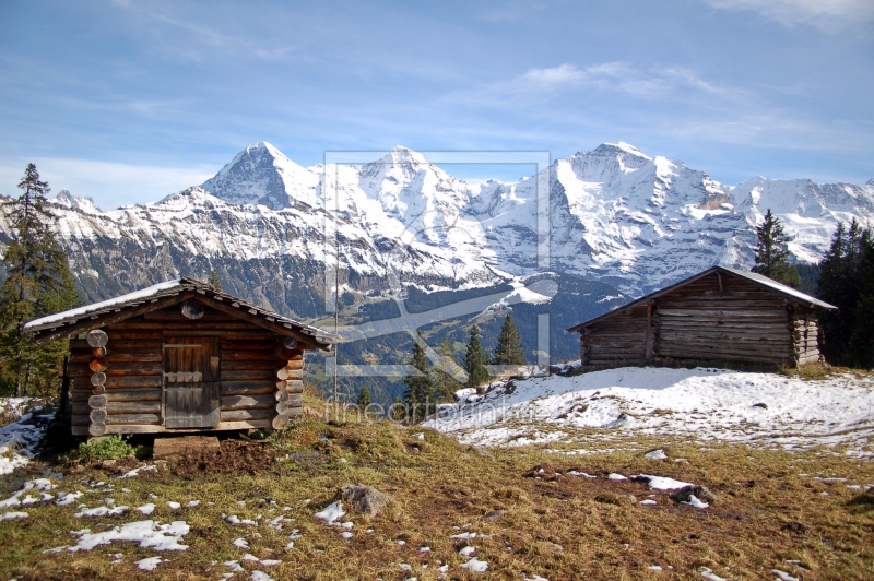 frei wählbarer Bildausschnitt für Ihr Bild auf Kissen