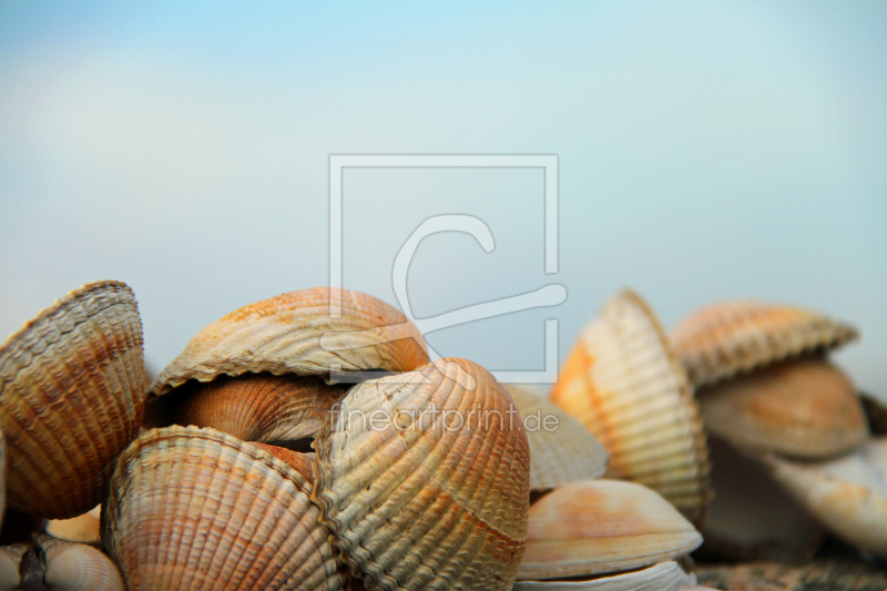 frei wählbarer Bildausschnitt für Ihr Bild auf Kissen