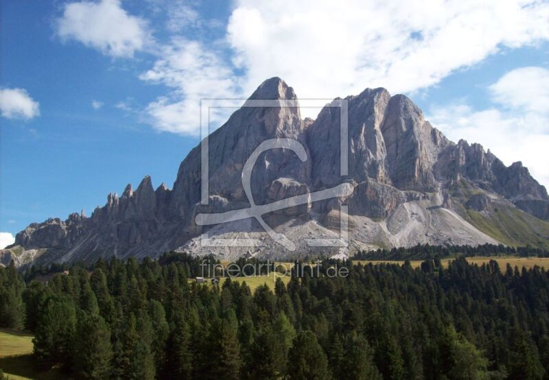 frei wählbarer Bildausschnitt für Ihr Bild auf Kissen