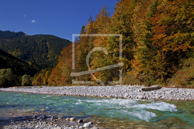 frei wählbarer Bildausschnitt für Ihr Bild auf Kissen