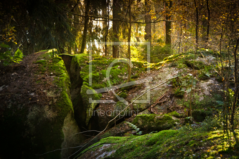 frei wählbarer Bildausschnitt für Ihr Bild auf Kissen
