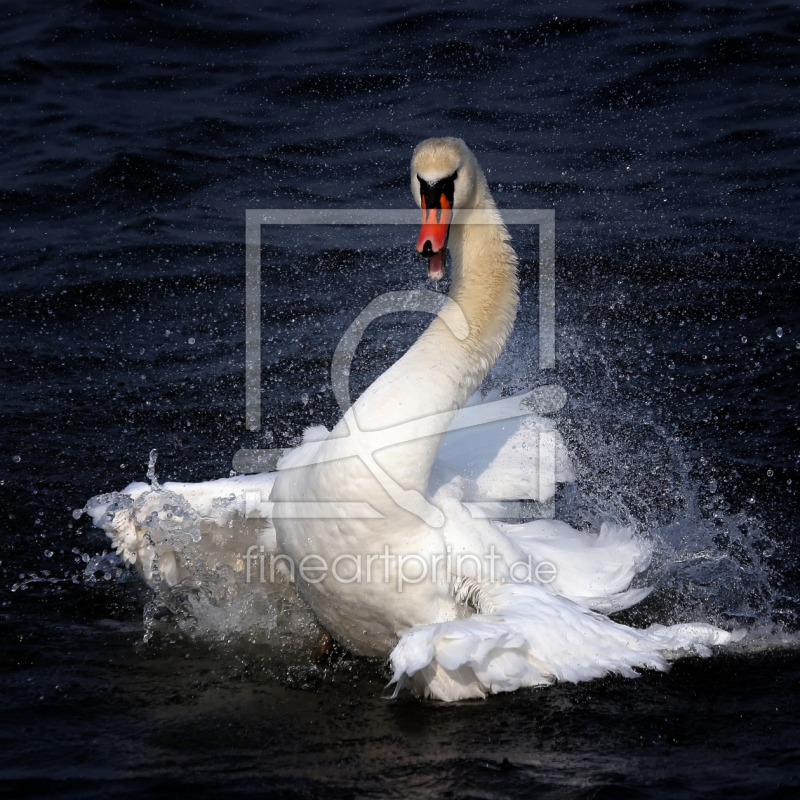 frei wählbarer Bildausschnitt für Ihr Bild auf Kissen