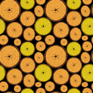 Bild-Nr: 9006982 Holz Scheiben Erstellt von: patterndesigns-com