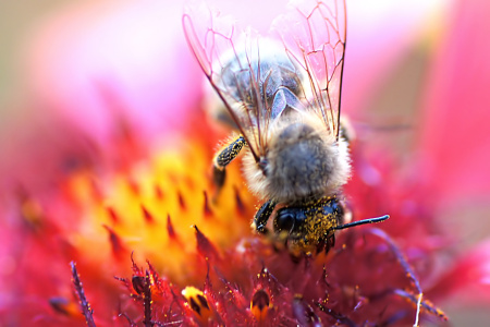 Bild-Nr: 10582673 Eingestaubt Erstellt von: youhaveadream