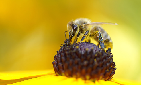 Bild-Nr: 12751464 Breakfast Erstellt von: youhaveadream