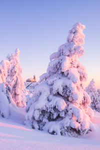 Bild-Nr: 12938057 Sonnenaufgang am Fichtelberg II Erstellt von: Daniela Beyer