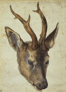 Bild-Nr: 30003046 A.Dürer, Head of a Roebuck / Draw./1514 Erstellt von: Dürer, Albrecht