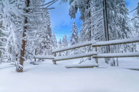 Bild-Nr: 11444410 Winterzeit Erstellt von: HeschFoto