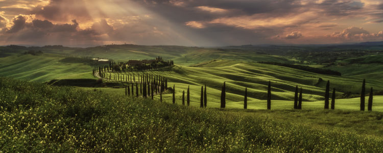 Bild-Nr: 11991326 Toskana Crete Senesi im Abendlicht  Erstellt von: Jean Claude Castor