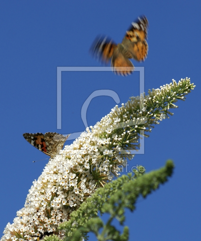 frei wählbarer Bildausschnitt für Ihr Bild auf Label