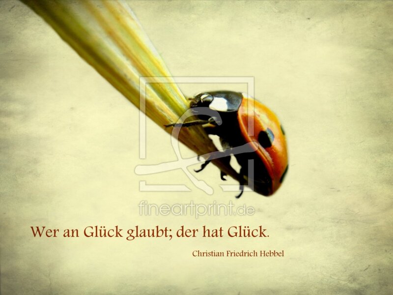 frei wählbarer Bildausschnitt für Ihr Bild auf Label