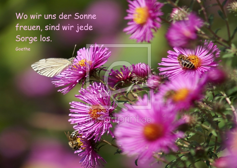 frei wählbarer Bildausschnitt für Ihr Bild auf Label