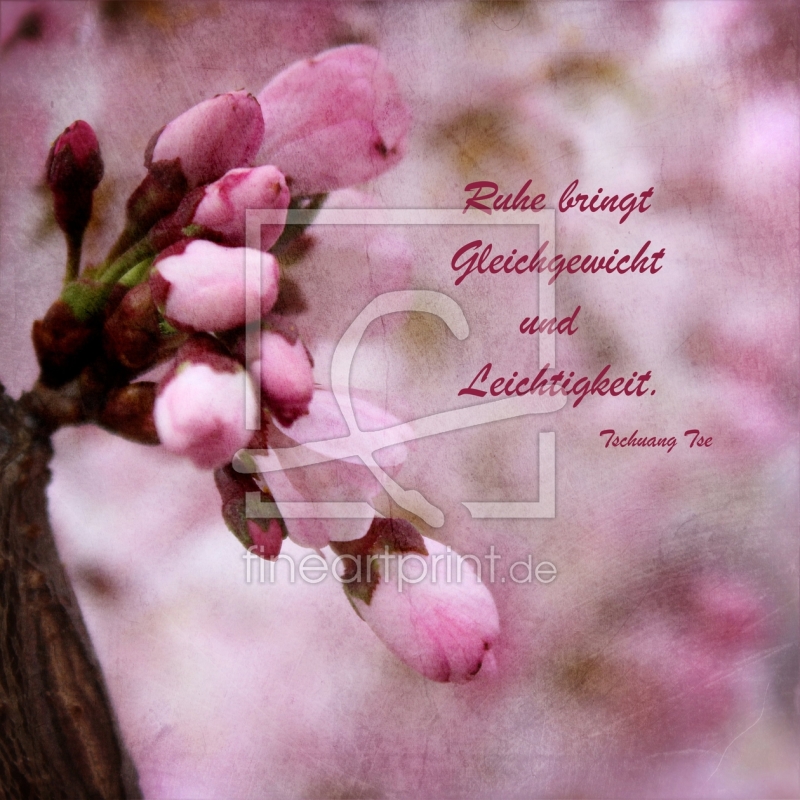 frei wählbarer Bildausschnitt für Ihr Bild auf Label