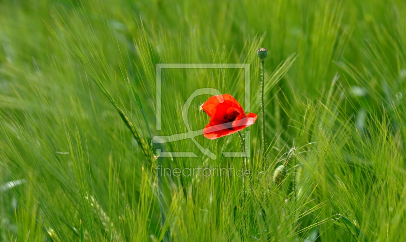 frei wählbarer Bildausschnitt für Ihr Bild auf Label