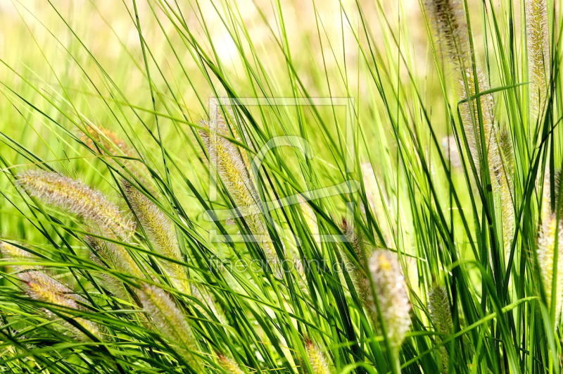 frei wählbarer Bildausschnitt für Ihr Bild auf Label
